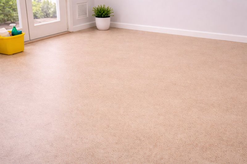 Sheet Linoleum Installation in Odessa, FL